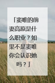 窦唯的前妻高原是什么职业?如果不是窦唯你会认识她吗?