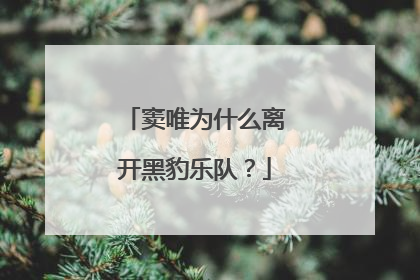 窦唯为什么离开黑豹乐队?