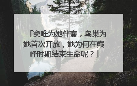 窦唯为她伴奏,鸟巢为她首次开放,她为何在巅峰时期结束生命呢?
