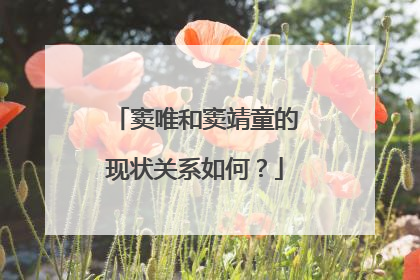 窦唯和窦靖童的现状关系如何？