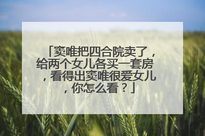 窦唯把四合院卖了，给两个女儿各买一套房，看得出窦唯很爱女儿，你怎么看？