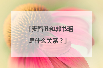 窦智孔和郭书瑶是什么关系?