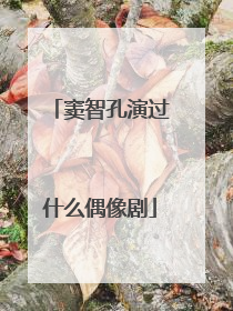 窦智孔演过什么偶像剧