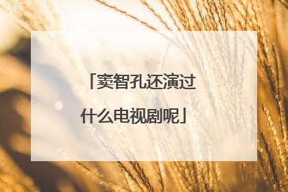 窦智孔还演过什么电视剧呢