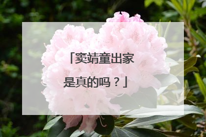 窦靖童出家是真的吗？