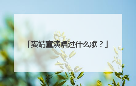 窦靖童演唱过什么歌?