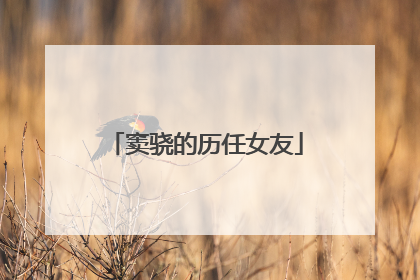 窦骁的历任女友