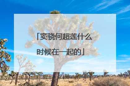 窦骁何超莲什么时候在一起的