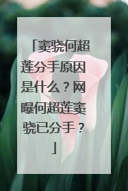 窦骁何超莲分手原因是什么?网曝何超莲窦骁已分手?