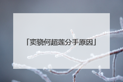 窦骁何超莲分手原因