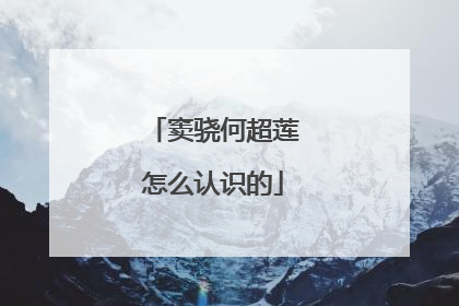 窦骁何超莲怎么认识的