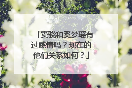 窦骁和奚梦瑶有过感情吗?现在的他们关系如何?
