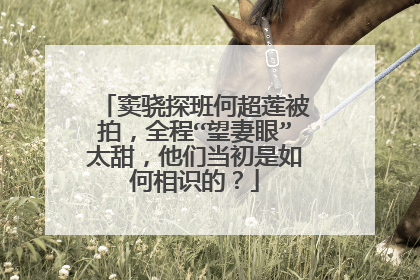 窦骁探班何超莲被拍，全程“望妻眼”太甜，他们当初是如何相识的？