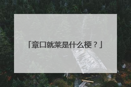 章口就莱是什么梗?