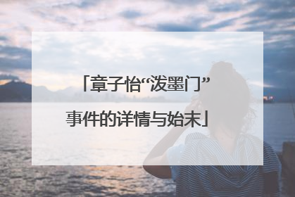 章子怡“泼墨门”事件的详情与始末