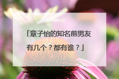 章子怡的知名前男友有几个？都有谁？