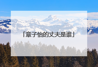 章子怡的丈夫是谁