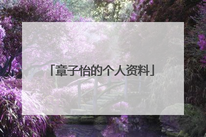 章子怡的个人资料