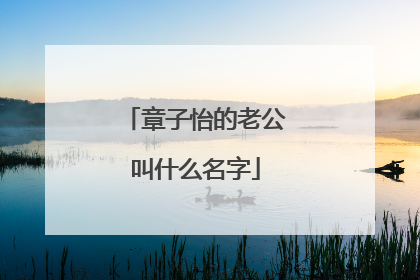 章子怡的老公叫什么名字