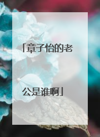 章子怡的老公是谁啊