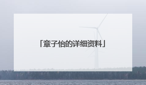 章子怡的详细资料