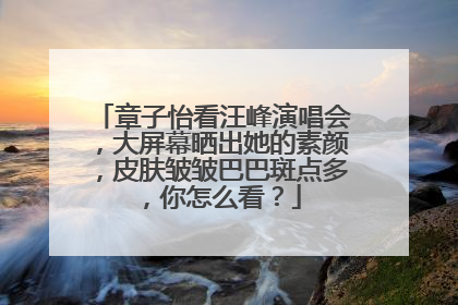 章子怡看汪峰演唱会,大屏幕晒出她的素颜,皮肤皱皱巴巴斑点多,你怎么看?