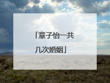 章子怡一共几次婚姻