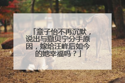 章子怡不再沉默，说出与撒贝宁分手原因，嫁给汪峰后如今的她幸福吗？