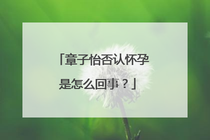 章子怡否认怀孕是怎么回事？