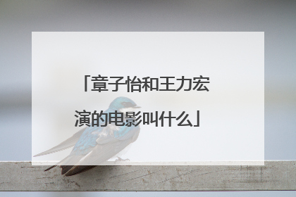 章子怡和王力宏演的电影叫什么