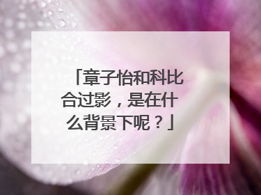 章子怡和科比合过影,是在什么背景下呢?