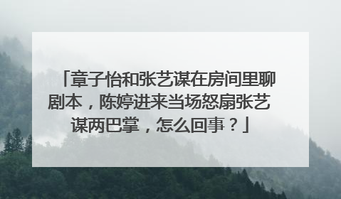 章子怡和张艺谋在房间里聊剧本,陈婷进来当场怒扇张艺谋两巴掌,怎么回事?