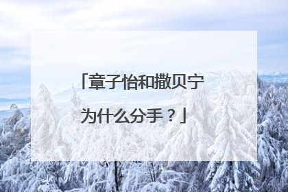 章子怡和撒贝宁为什么分手？