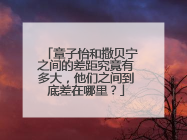 章子怡和撒贝宁之间的差距究竟有多大,他们之间到底差在哪里?