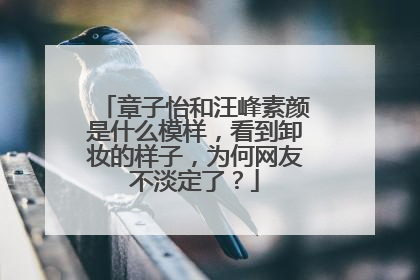 章子怡和汪峰素颜是什么模样，看到卸妆的样子，为何网友不淡定了？