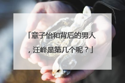 章子怡和背后的男人,汪峰是第几个呢?