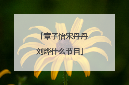 章子怡宋丹丹刘烨什么节目