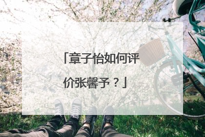 章子怡如何评价张馨予?