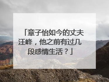 章子怡如今的丈夫汪峰，他之前有过几段感情生活？