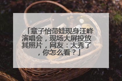 章子怡带娃现身汪峰演唱会，现场大屏投放其照片，网友：太秀了，你怎么看？