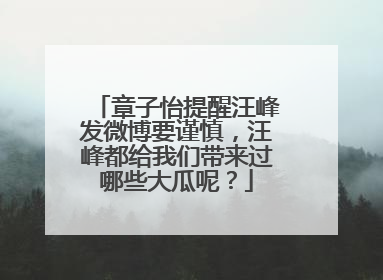 章子怡提醒汪峰发微博要谨慎，汪峰都给我们带来过哪些大瓜呢？