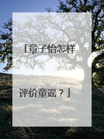 章子怡怎样评价童谣?