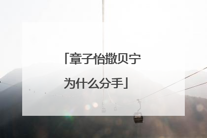 章子怡撒贝宁为什么分手