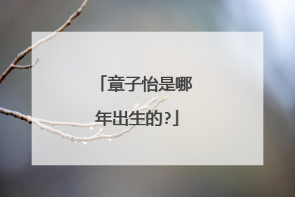 章子怡是哪年出生的?