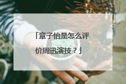 章子怡是怎么评价周迅演技?