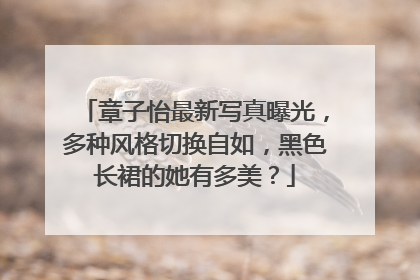 章子怡最新写真曝光,多种风格切换自如,黑色长裙的她有多美?