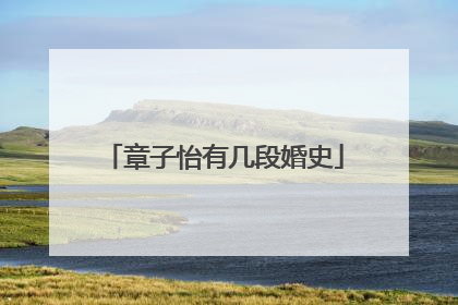 章子怡有几段婚史