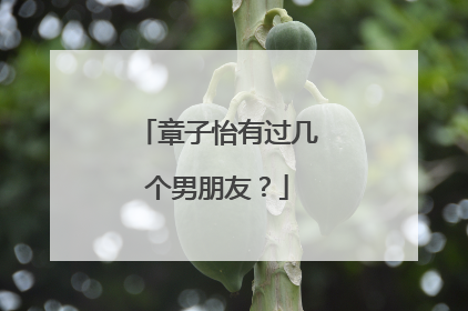 章子怡有过几个男朋友？