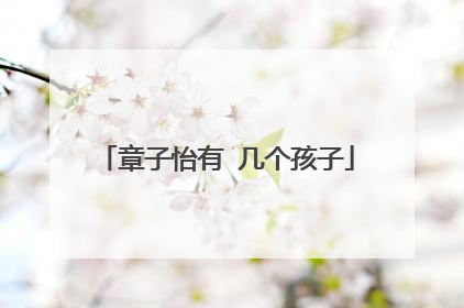 章子怡有 几个孩子