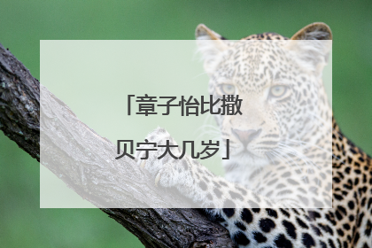 章子怡比撒贝宁大几岁